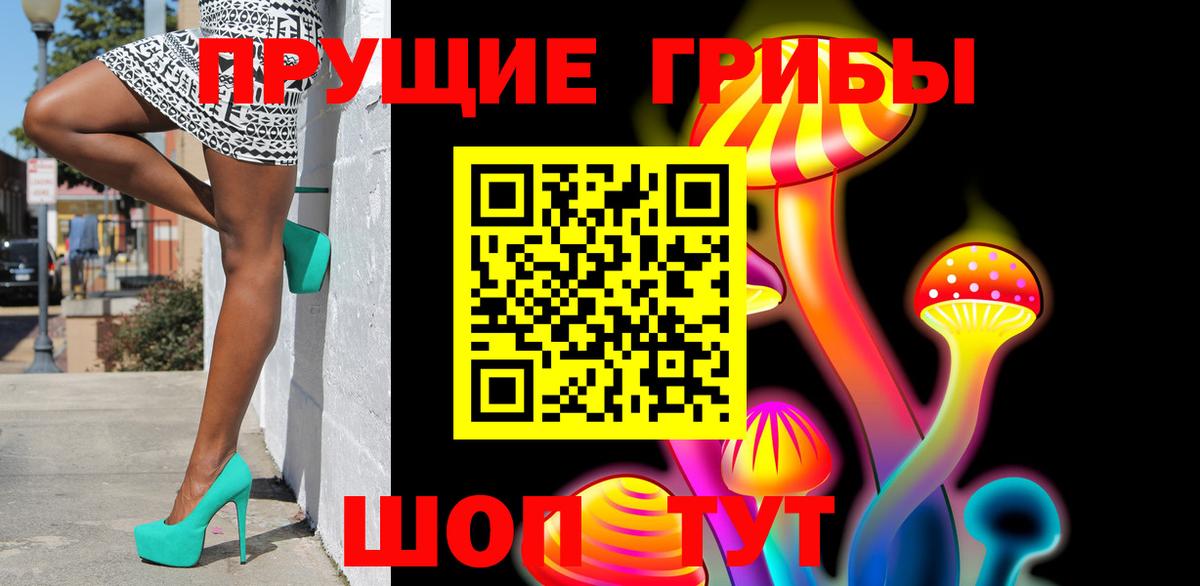 Костомукша  Псилоцибиновые грибы Magic Shrooms  Вход с VPN 
