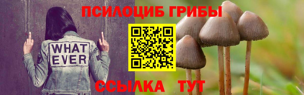 Галлюциногенные грибы Psilocybine cubensis Костомукша